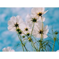 Hello Spring in Freudenstadt, Baden-Württemberg inkl. Frühstück Unkategorisiert online kaufen Hello Spring in Freudenstadt, Baden-Württemberg inkl. Frühstück Unkategorisiert online kaufen