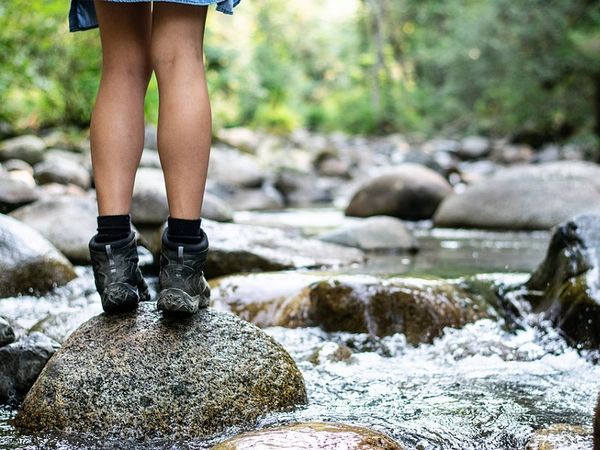 Herbstliche Auszeit 4 Tage / 3 Nächte in Todtmoos, Baden-Württemberg inkl. Frühstück Unkategorisiert online kaufen