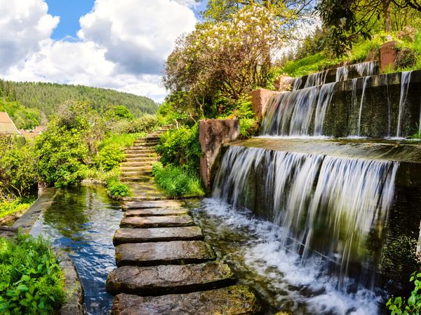 Natur pur mit Baumwipfelpfad 3 Tage in Altensteig-Berneck, Baden-Württemberg inkl. Halbpension Unkategorisiert online kaufen
