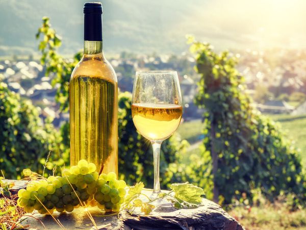 Rendezvous der Sinne in Baden und dem Elsass - 3 Tage in Kehl, Baden-Württemberg inkl. Halbpension Plus Unkategorisiert online kaufen