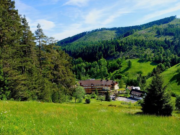 Romantik pur - 4 Tage inkl. Massage in Baiersbronn, Baden-Württemberg inkl. Halbpension Plus Unkategorisiert online kaufen