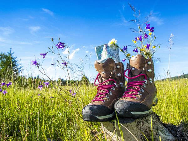 Schwarzwald für Individualisten | 5 Tage in Empfingen, Baden-Württemberg inkl. Frühstück Unkategorisiert online kaufen