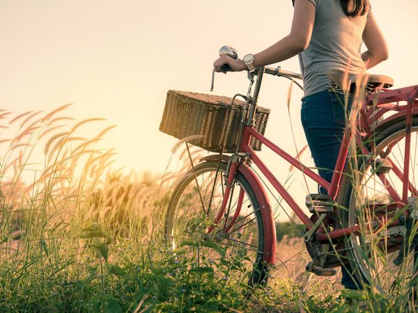 Schwarzwald für Individualisten inkl. HP | 4 Tage in Empfingen, Baden-Württemberg inkl. Halbpension Unkategorisiert online kaufen Schwarzwald für Individualisten inkl. HP | 4 Tage in Empfingen, Baden-Württemberg inkl. Halbpension Unkategorisiert online kaufen