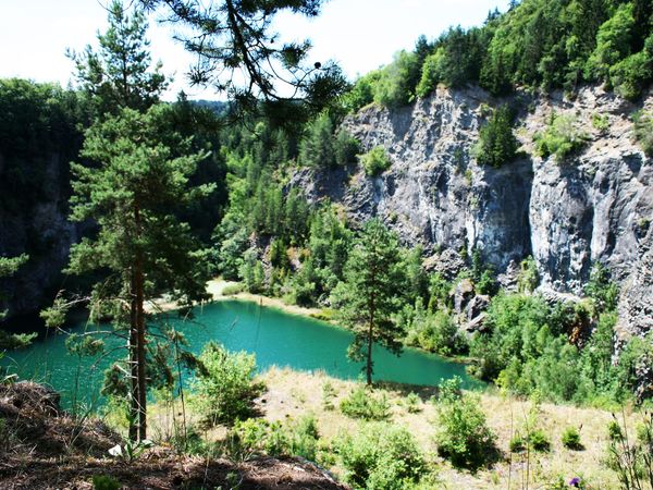 Sombea-Auszeit: 3 Tage Schwarzwald inkl. 1x Dinner in Donaueschingen, Baden-Württemberg inkl. Frühstück Unkategorisiert online kaufen
