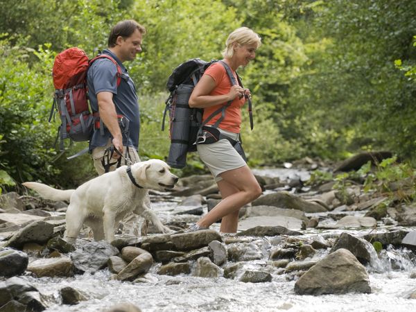 Urlaub mit Hund im Schwarzwald I 3 Tage in Lenzkirch, Baden-Württemberg inkl. Halbpension Unkategorisiert online kaufen