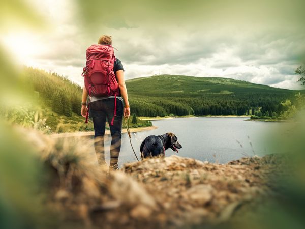 Urlaub mit Hund im Schwarzwald I 6 Tage in Lenzkirch, Baden-Württemberg inkl. Halbpension Unkategorisiert online kaufen