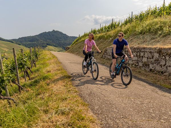 Wandern in 4 Jahreszeiten im Schwarzwald - 3 Tage in Baden-Baden, Baden-Württemberg inkl. Halbpension Unkategorisiert online kaufen Wandern in 4 Jahreszeiten im Schwarzwald - 3 Tage in Baden-Baden, Baden-Württemberg inkl. Halbpension Unkategorisiert online kaufen