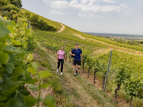 Wandern in 4 Jahreszeiten im Schwarzwald - 4 Tage in Baden-Baden, Baden-Württemberg inkl. Halbpension Unkategorisiert online kaufen