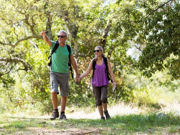 Wanderurlaub Schwarzwald & Bodensee & 1xAE / 3 Tage in Tuttlingen, Baden-Württemberg inkl. Halbpension Unkategorisiert online kaufen